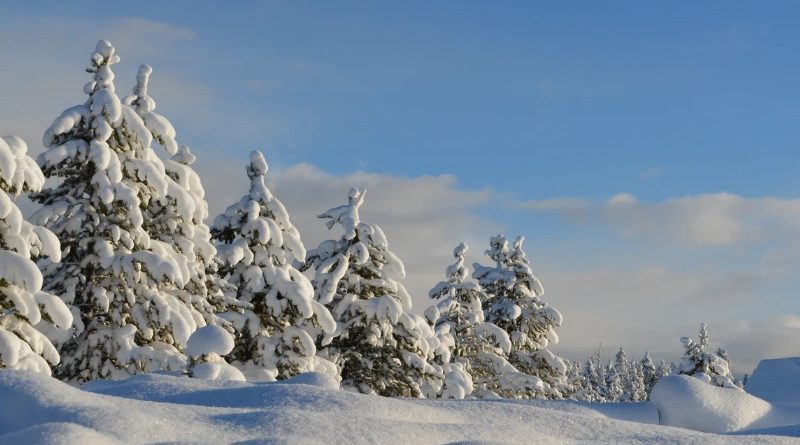 diabetes-invierno