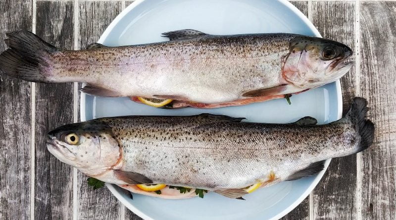 Suplemento de Aceite de Pescado